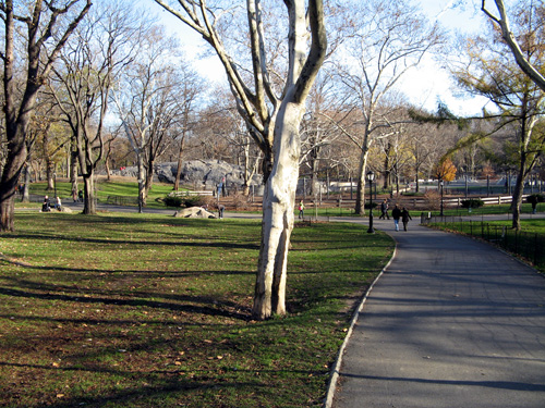 セントラル・パーク Central Park